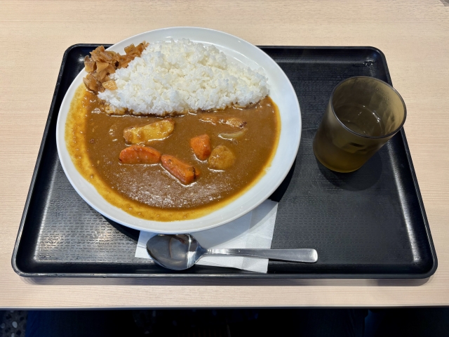 Japanese Curry