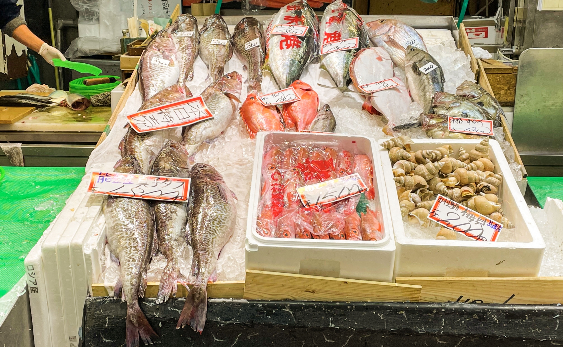 fish